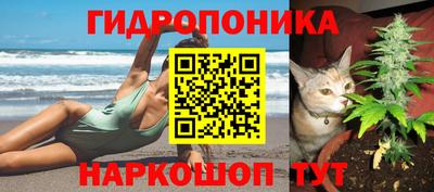 крисы Усть-Джегута