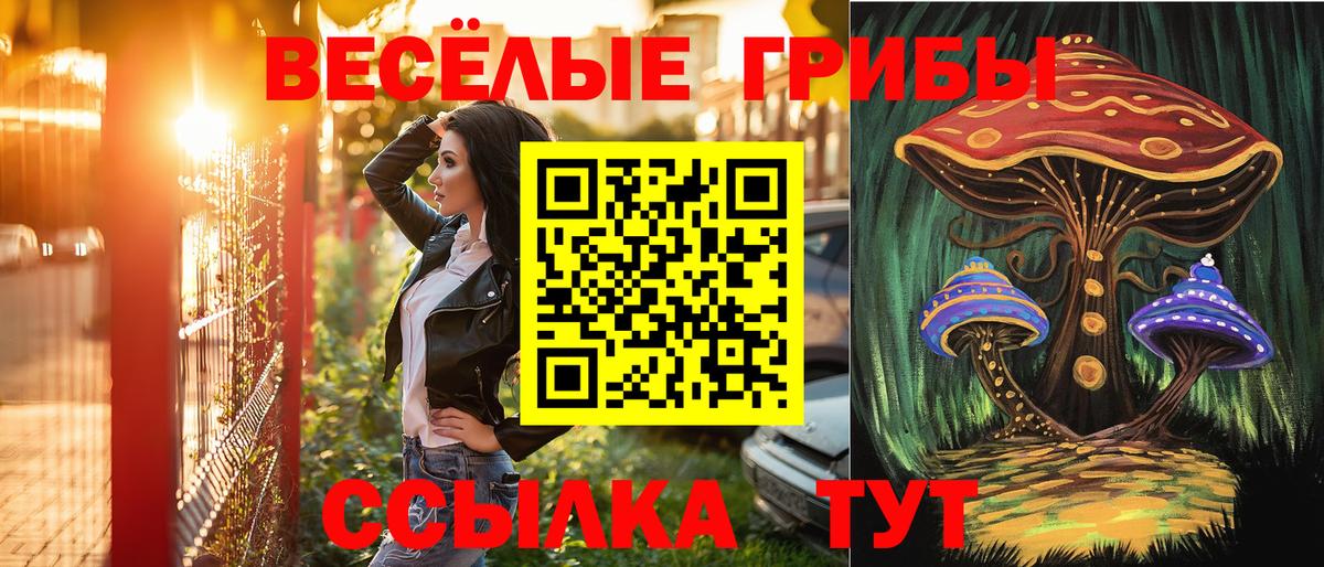Вольск  Псилоцибиновые грибы Magic Shrooms  Вход с VPN  Псилоцибиновые грибы ЛСД 
