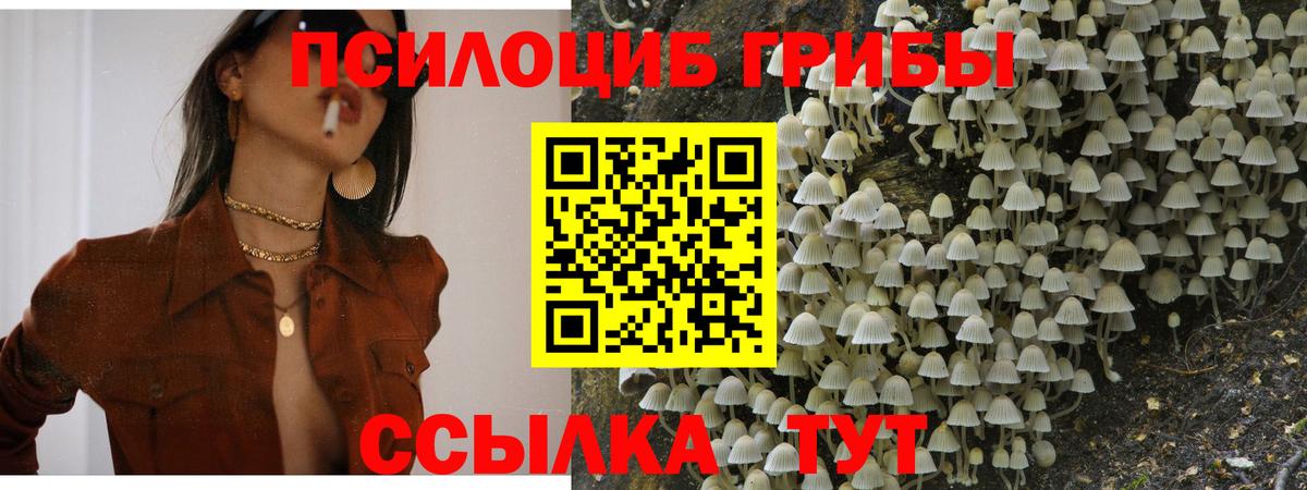 Псилоцибиновые грибы мицелий Вольск